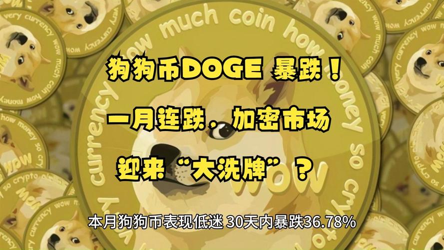 狗狗币一夜暴涨700倍，狗狗币一夜暴涨700倍最新消息