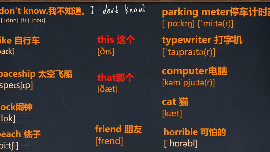 what中文怎么说，what怎么翻译成中文