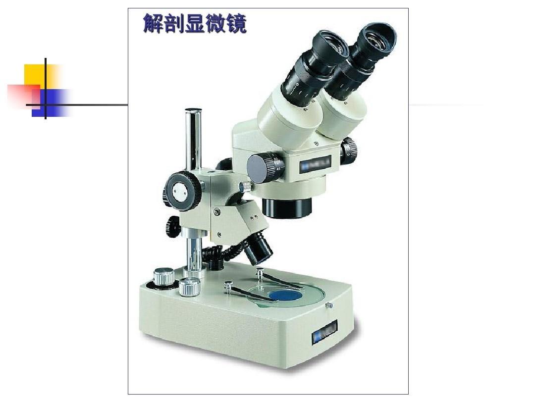 microscope怎么记忆的简单介绍