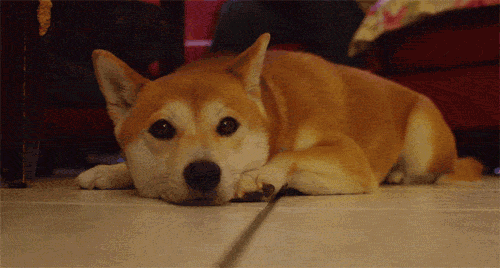 [threatening与threatened]threatening与threatened的区别