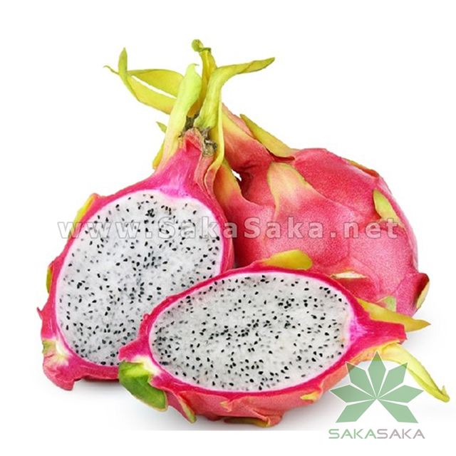 [fruit词组]fruit形容词