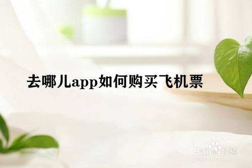 [飞机下载软件app咋不能用]飞机下载软件app咋不能用了