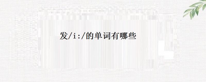 [team的发音]Team怎么读音