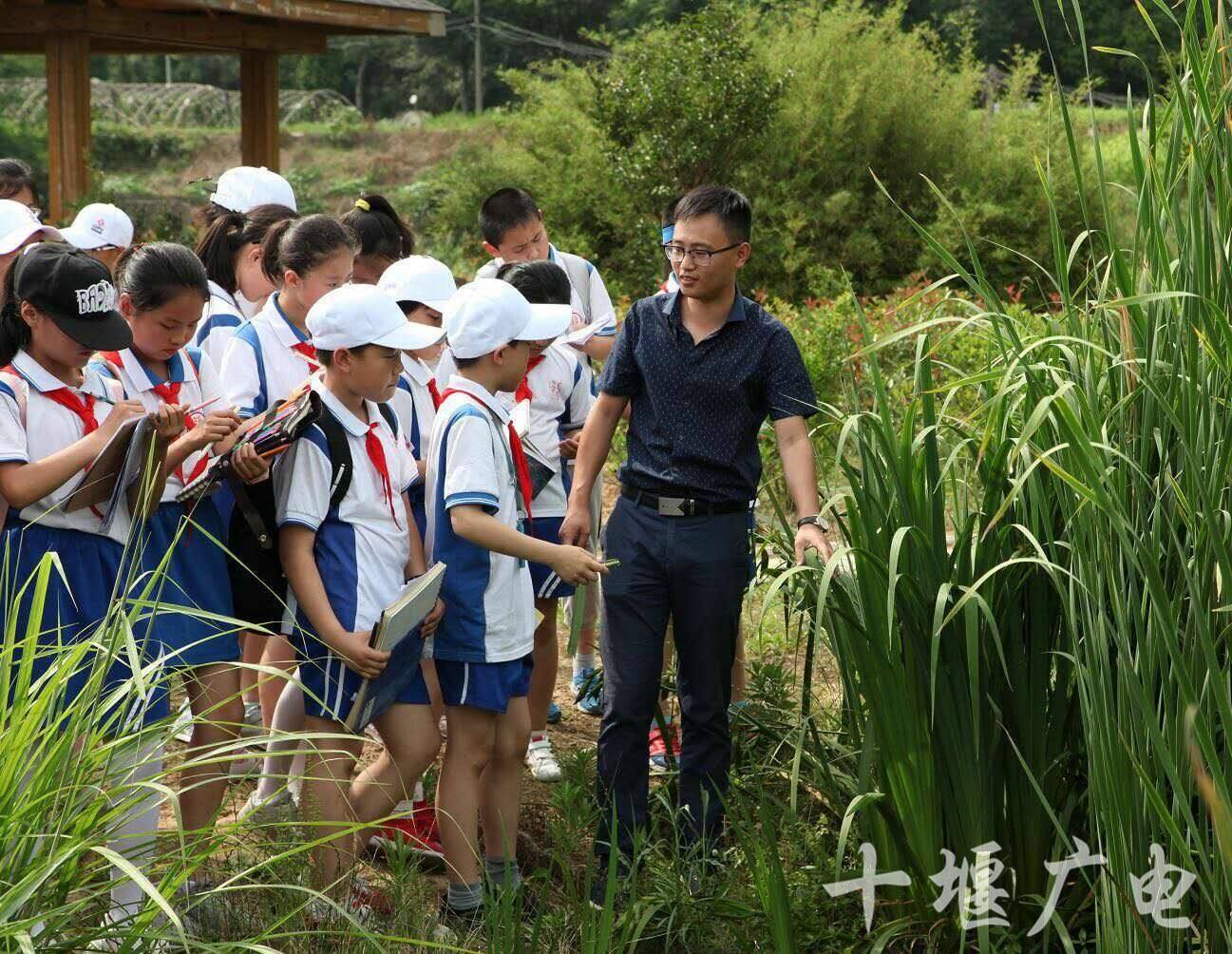 [绿色园圃小学资源网]绿色园圃小学资源网新人教版PEP六年级英语测试卷