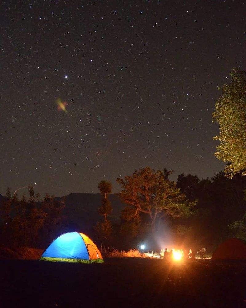 astronomerwife人物分析的简单介绍