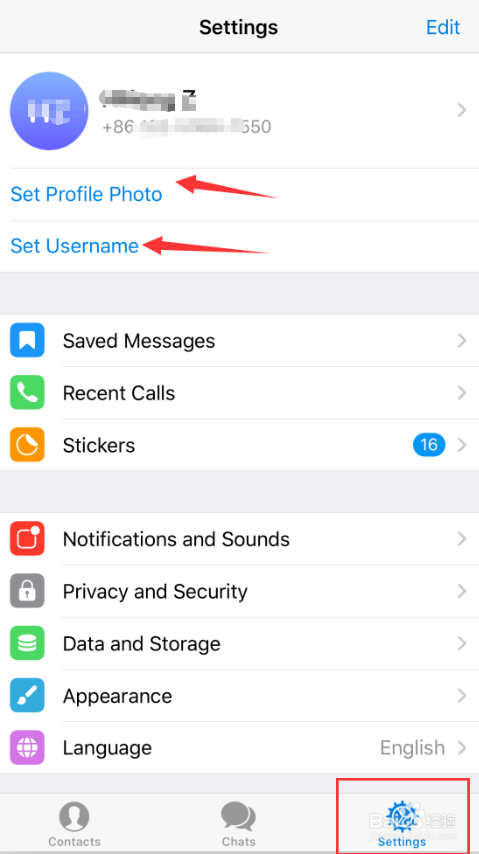 包含telegramAPP链接的词条