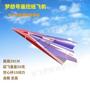 [纸飞机号是什么意思]纸飞机是什么意思女生给男生