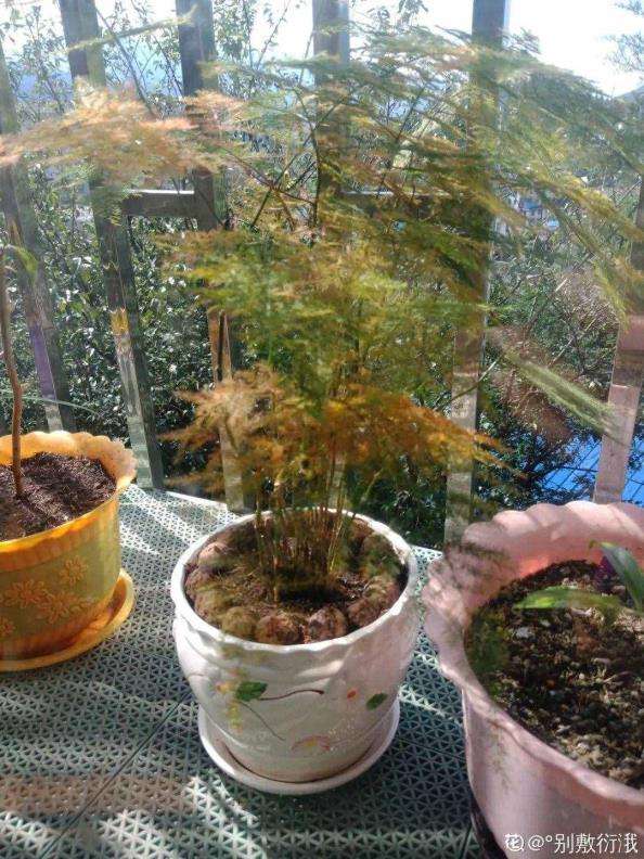 [电报员骂人词汇]电报员骂人词汇怎么说
