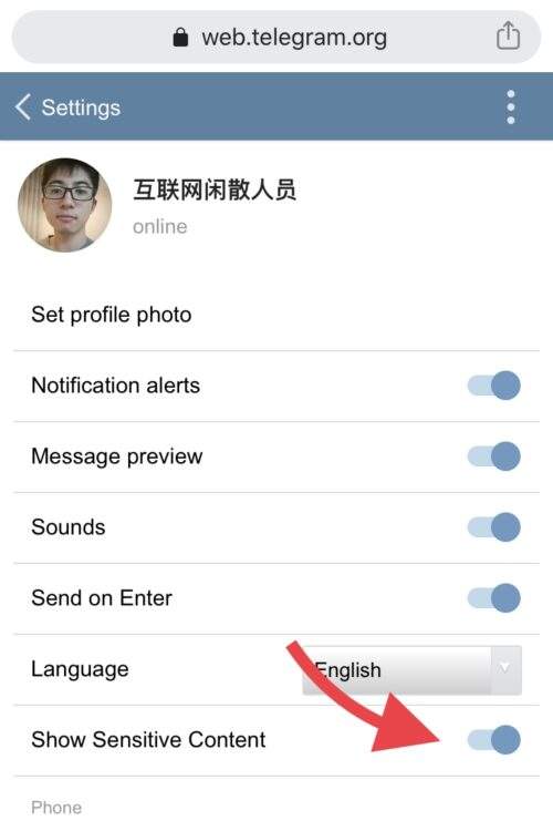 [telegram突然用不了]为什么用不了telegram