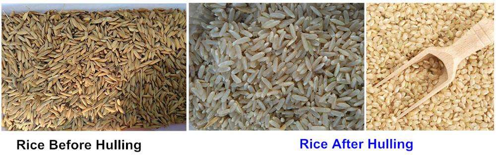 [grain]grain什么意思