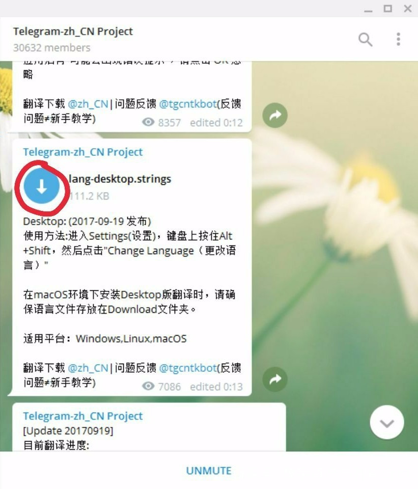 关于Telegram怎么下载使用的信息