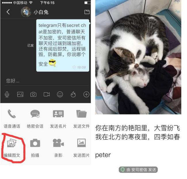 [telegraph安卓注册]telegraph安卓中文版聊天