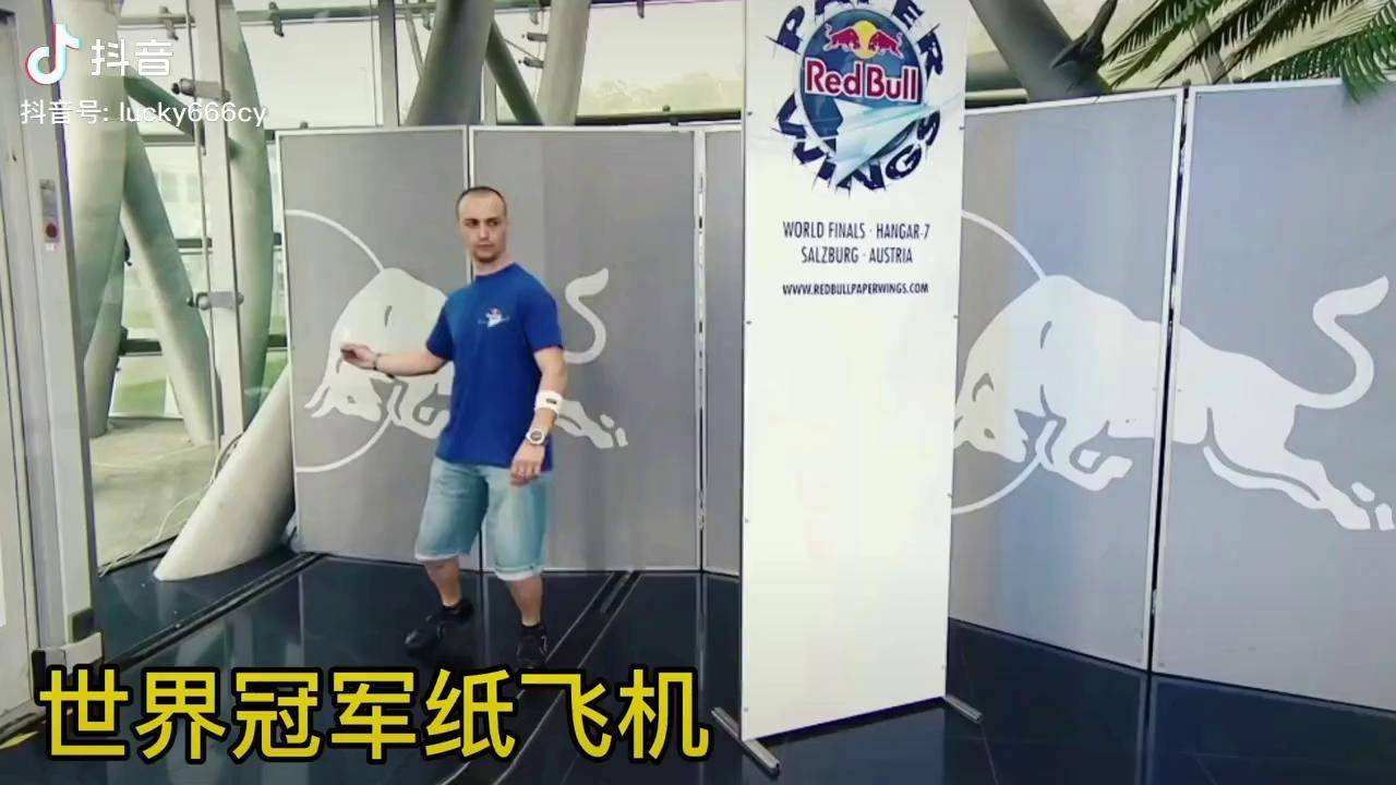 包含纸飞君黑骑士标枪纸飞机的词条
