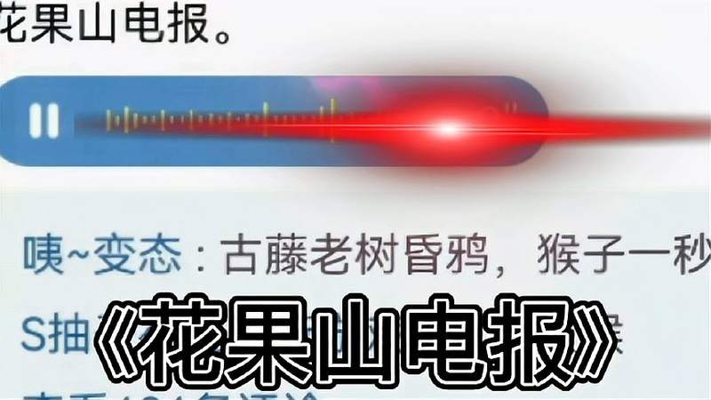 [花果山电报猴无消音视频]花果山电报猴无消音视频在第几集