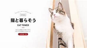 [imtoken哦哈哟]imtoken钱包官网地址