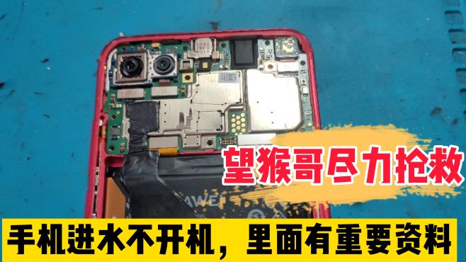 [猴哥发电报原视频]猴哥猴哥来一发完整版