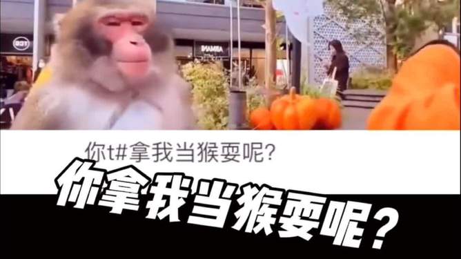 [电报猴原声无消音倒放]电报猴原声无消音倒放怎么设置