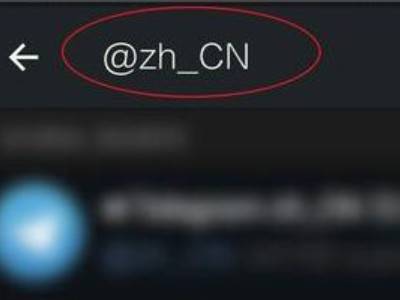 [纸飞机ios设置中文]苹果手机纸飞机设置中文版