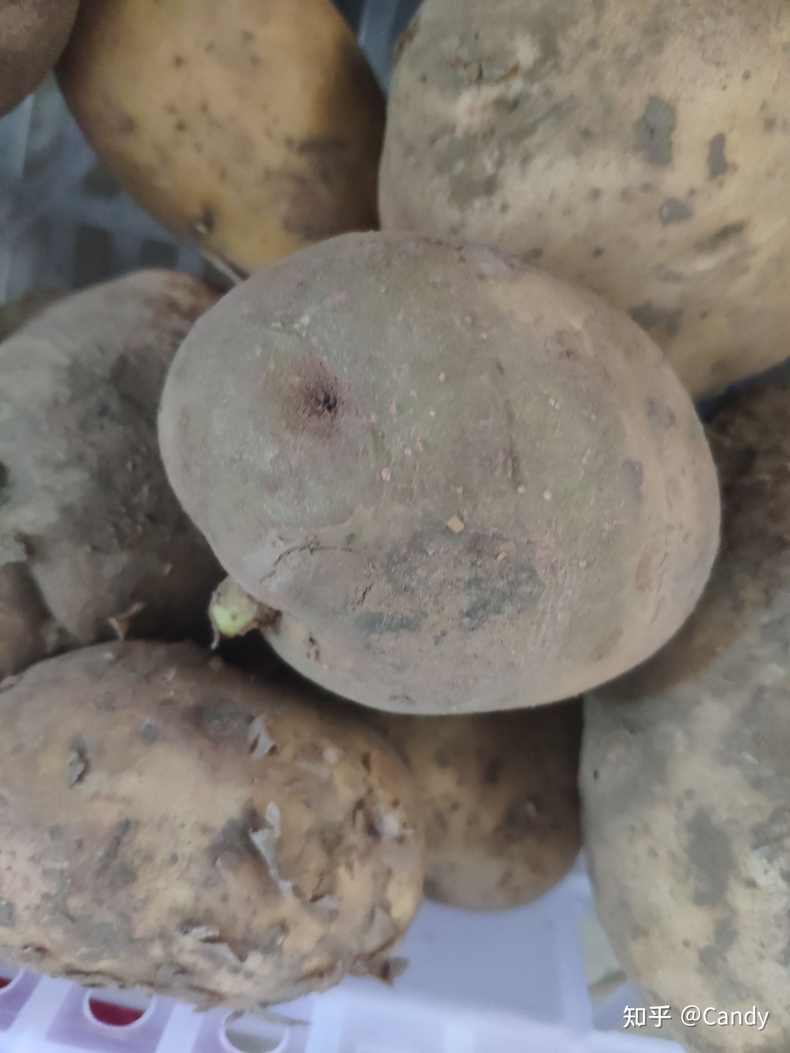 土豆钱包是不是违法的的简单介绍