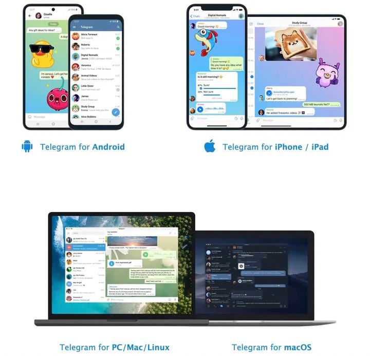 关于telegarm卡在电话的信息