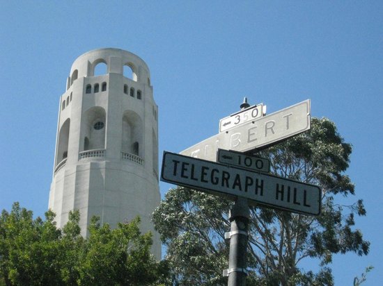 [telegraphed]telegraphed reports