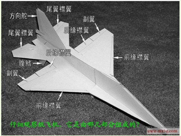 [纸飞机怎么找公共频道]纸飞机怎么搜索中文频道