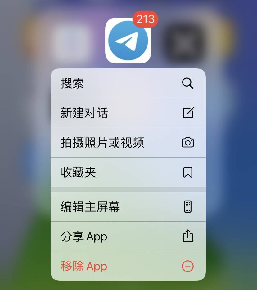 [有款聊天软件叫飞机怎么下载]有款聊天软件叫飞机怎么下载不了