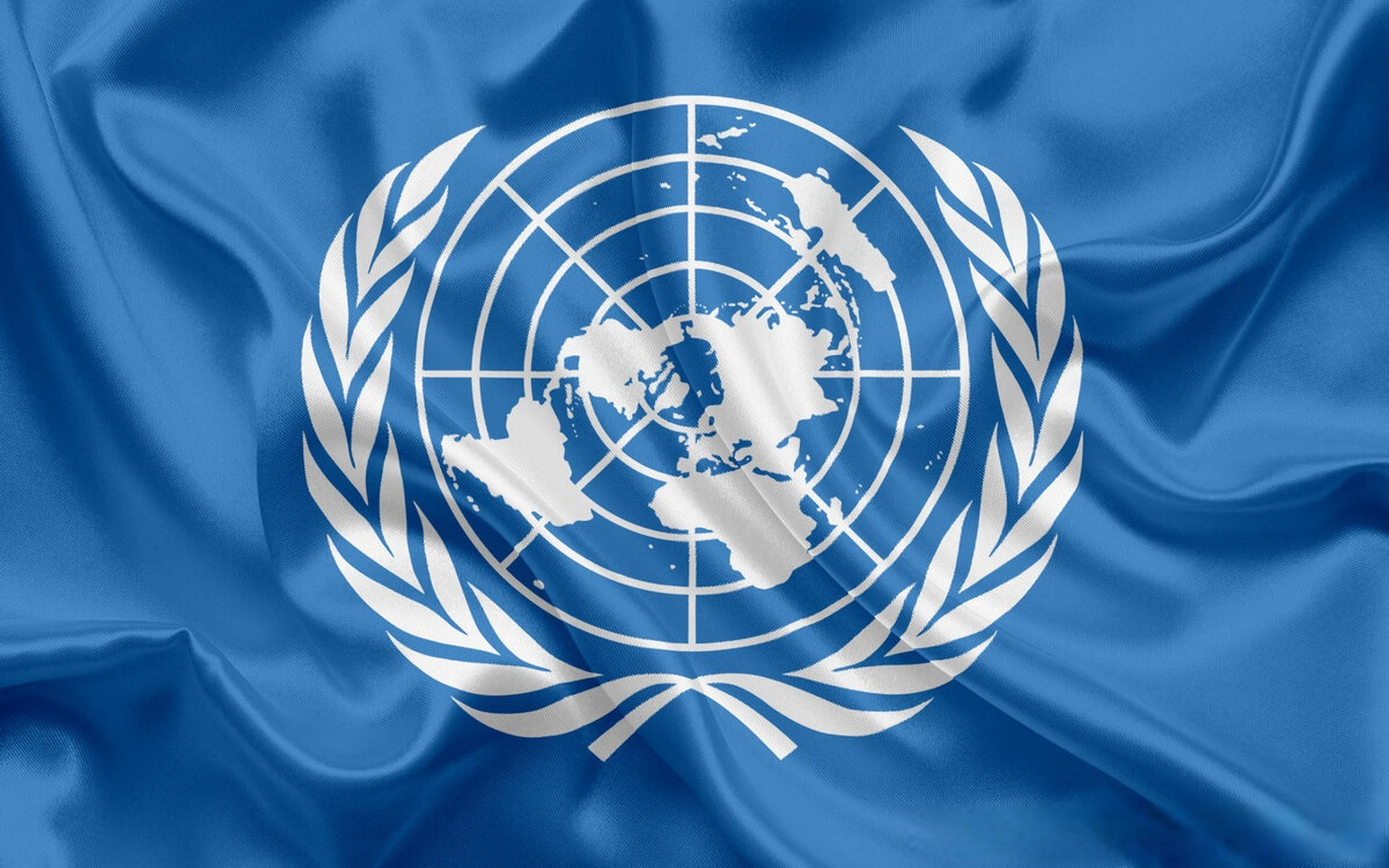 [联合国反纳粹决议]联合国反纳粹决议投票