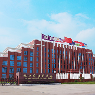 [手机版telegreat文件位置]手机版telegreat文件位置下载