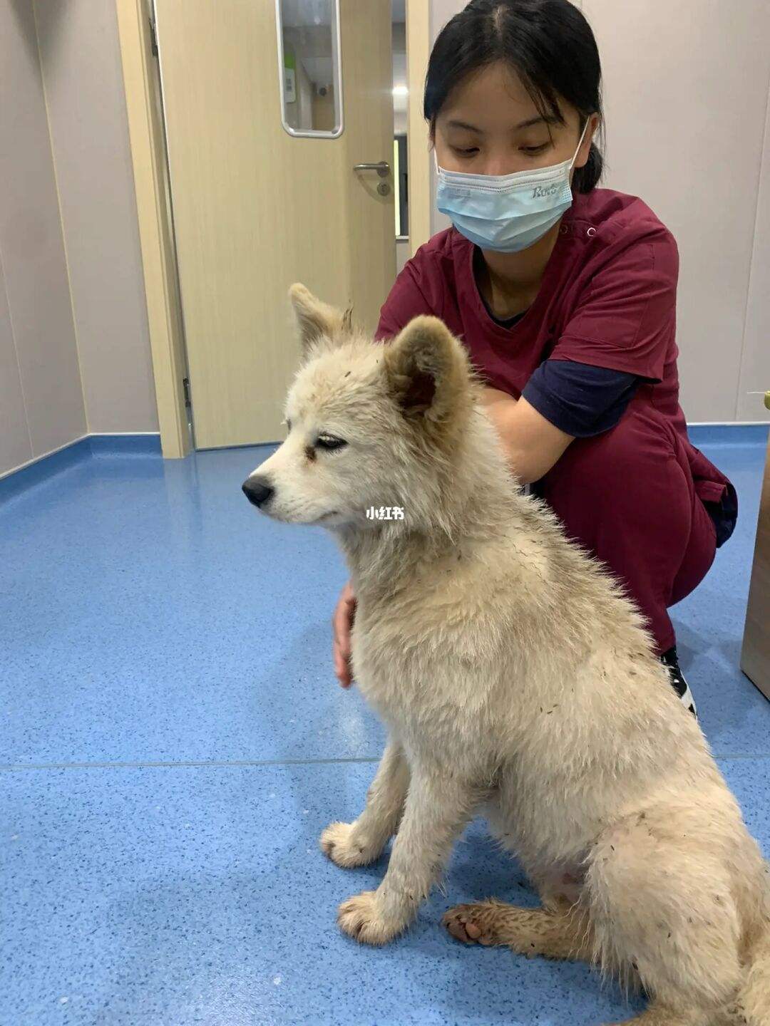 [狐狸多开安全吗]狐狸多开正式版破解