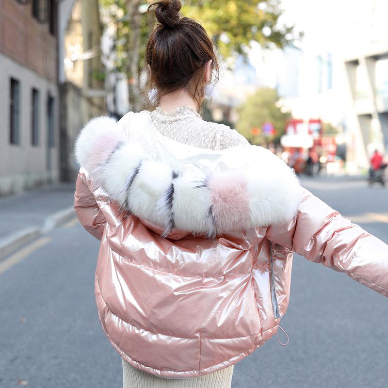 [狐狸牌子衣服]狐狸 服装品牌