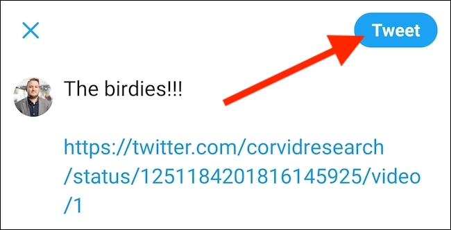 [tweet]tweet的中文翻译