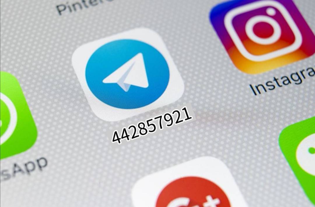 [纸飞机怎么注册不了]纸飞机app注册流程