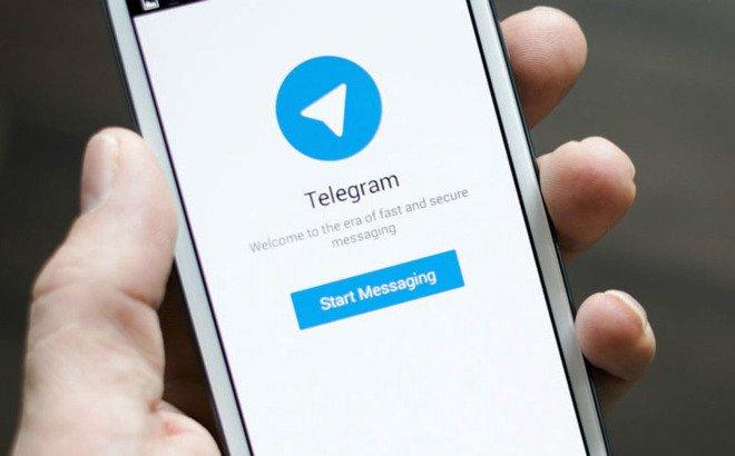 关于Telegram进不去mtp的信息