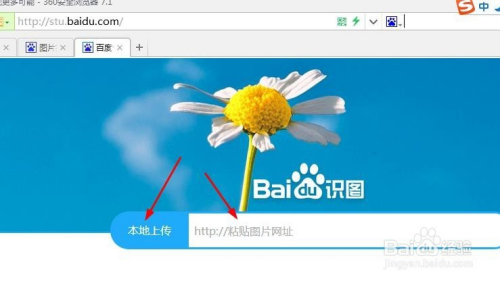 [怎么用电报搜索]电报搜索是什么意思