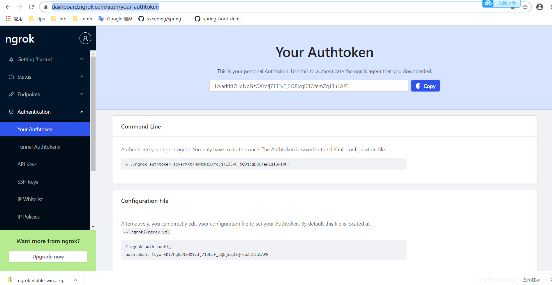 包含tokendownload的词条