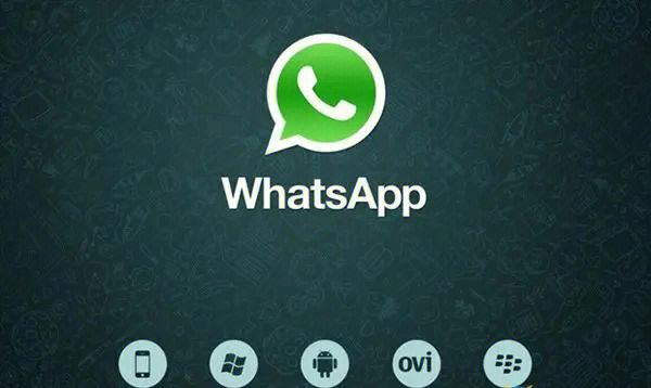 whatsapp连接不上解决办法-为什么whatsapp连接不上我的手机号码
