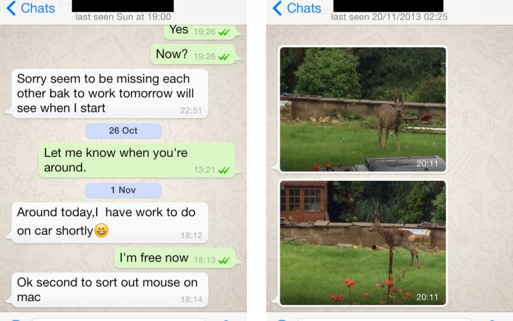 whatsapp怎么直接在软件中译英的简单介绍