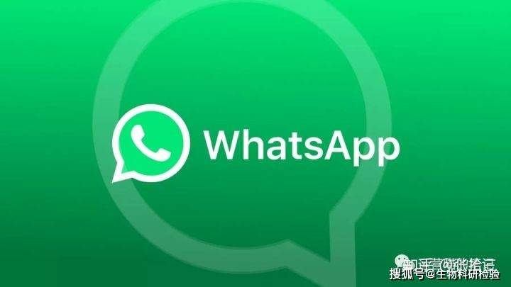 whatsapp下载2022年最新版-whatsappwhatsapp全版本下载安装