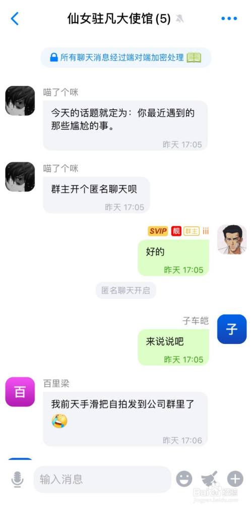 下载蝙蝠聊天app最新版-蝙蝠聊天app最新版本下载安装