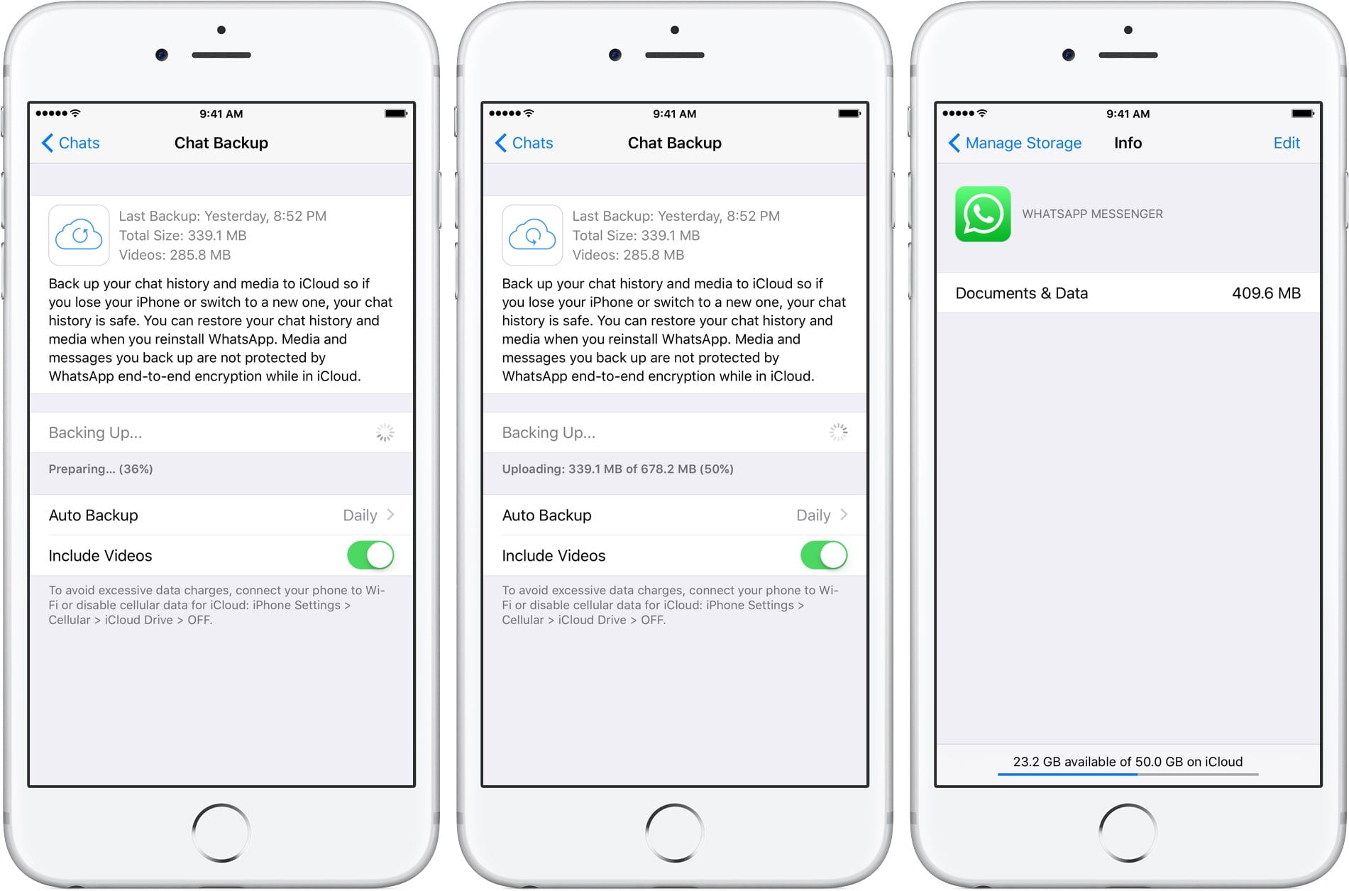 WhatsApp怎么读取文件-whatsapp文件怎么导出来