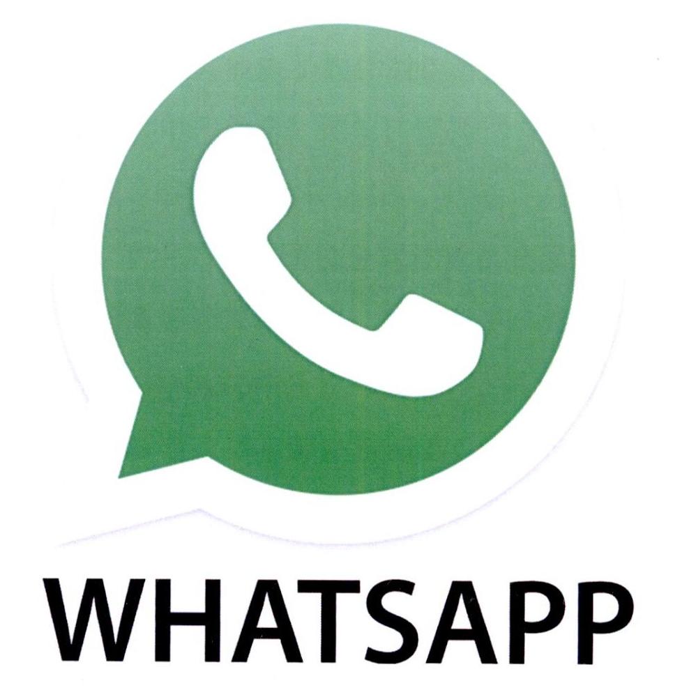 国内的whatsapp怎么用-国内手机whatsapp如何能用