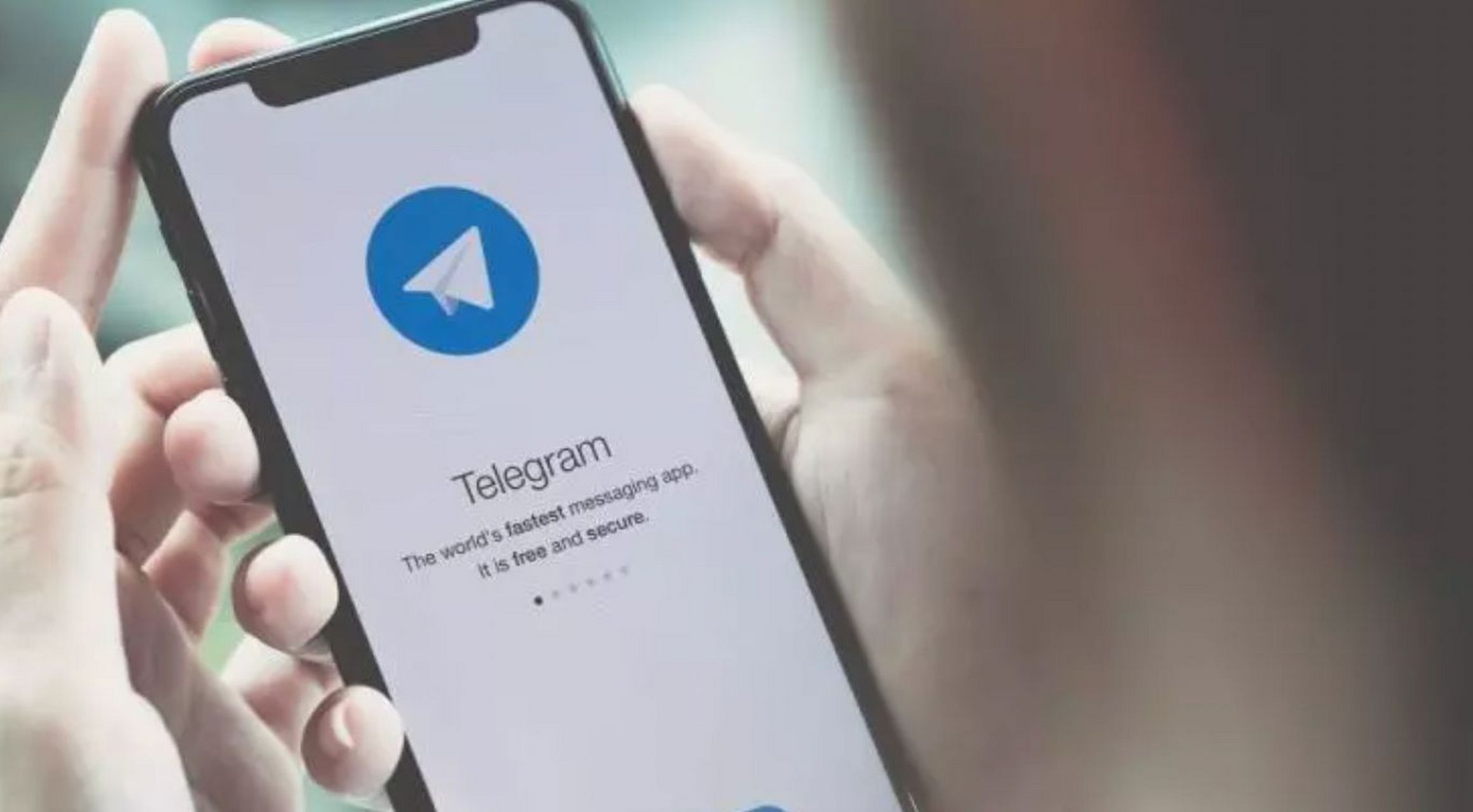 telegrmeapp-thebazaarhotel