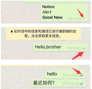 whatsapp客服电话号码-whatsapp客服联系电话多少