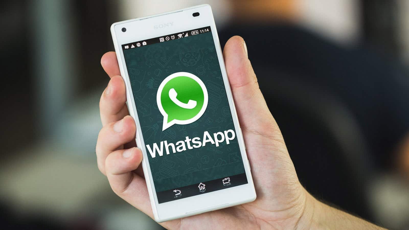 安卓手机能装whatsapp-安卓手机能装whatsapp吗