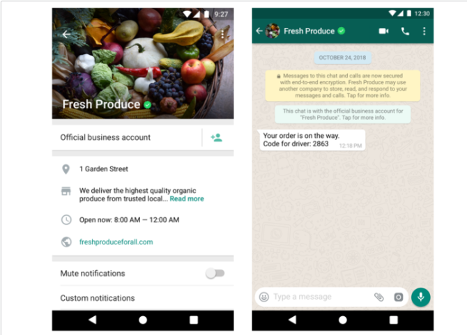 包含whatsappbusniessapkandroid的词条