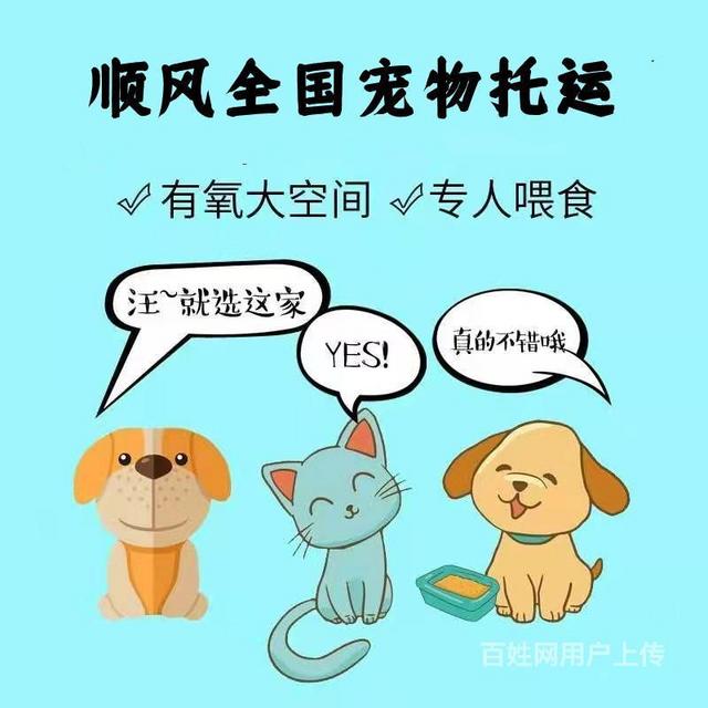 宠物托运能到付吗?-宠物托运能直接送到家吗