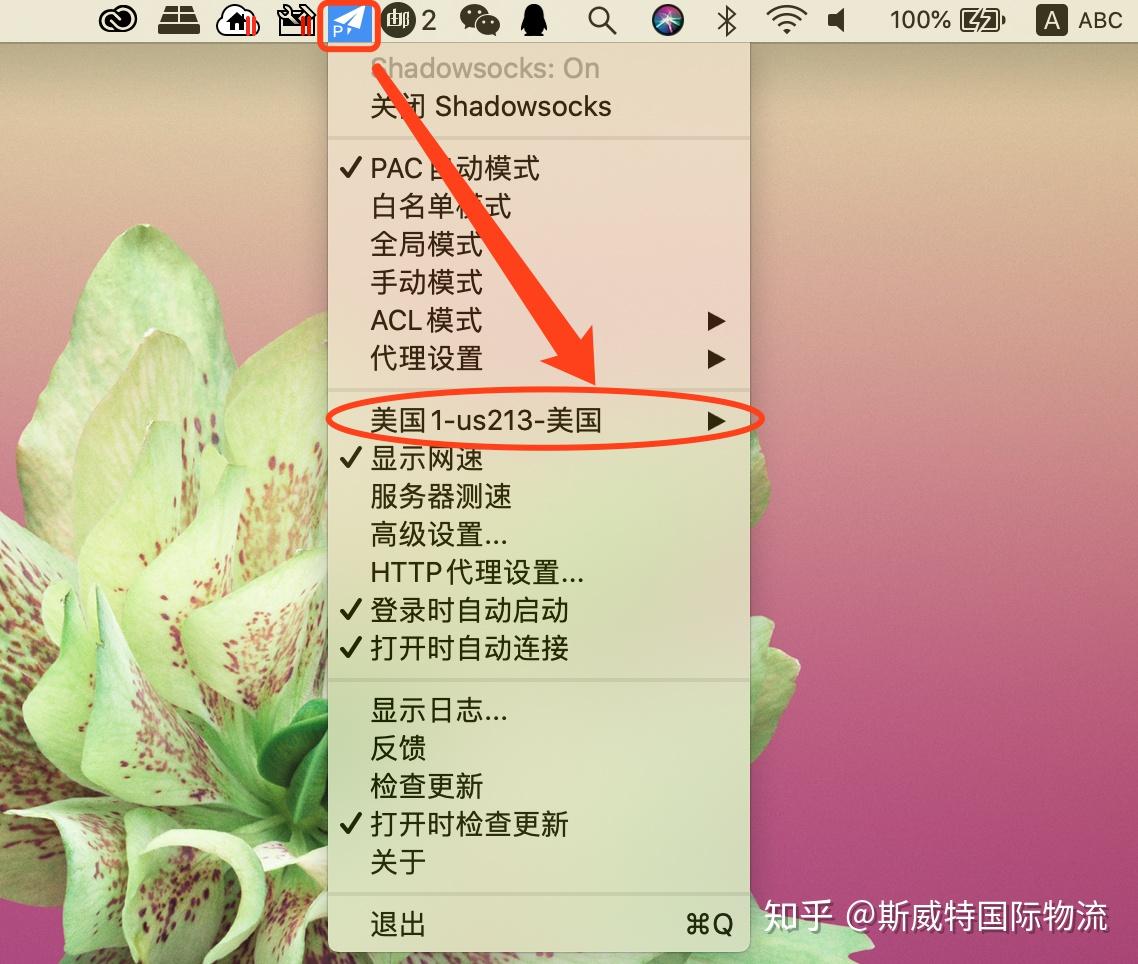 苹果免费代理ip-苹果免费代理ip软件