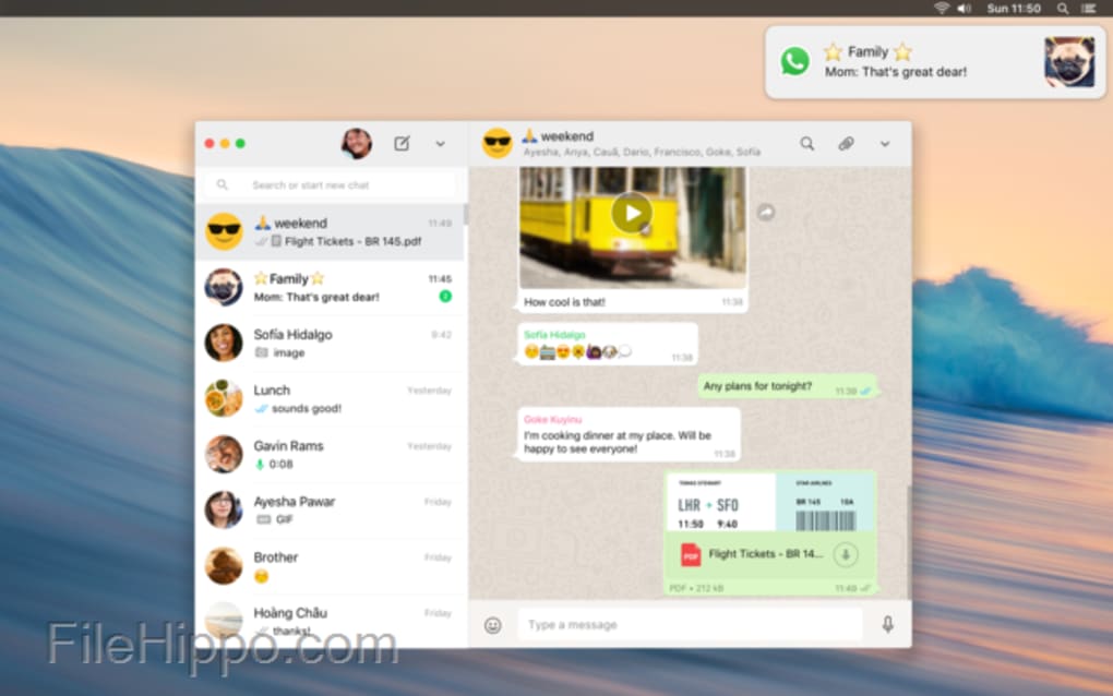 whatsapp官方网下载苹果-whatsapp for ios