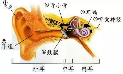 耳朵能听见类似打电报的声音-耳朵能听见类似打电报的声音正常吗